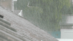 When You Need Water Damage Repairs - Contractors of Nashville